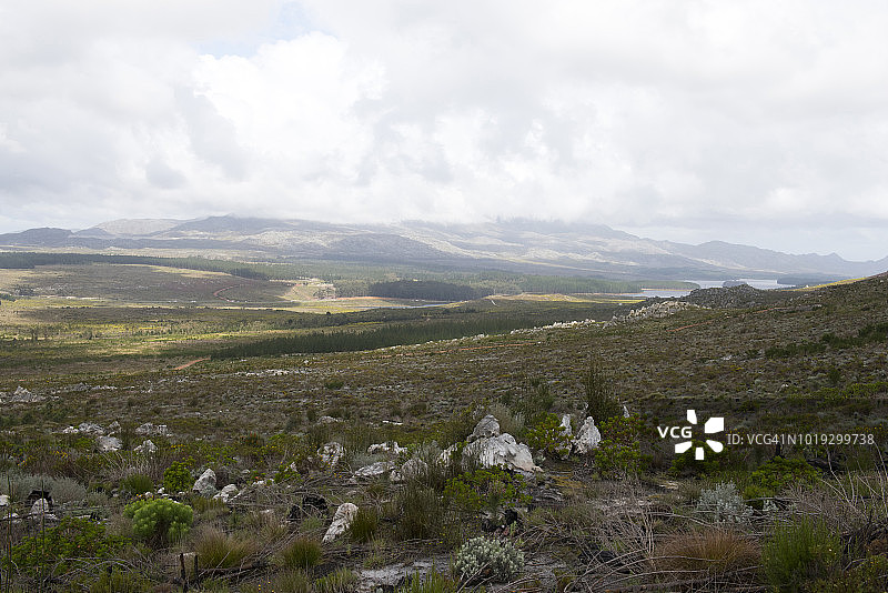 南非西开普省霍屯督荷兰山脉景色图片素材
