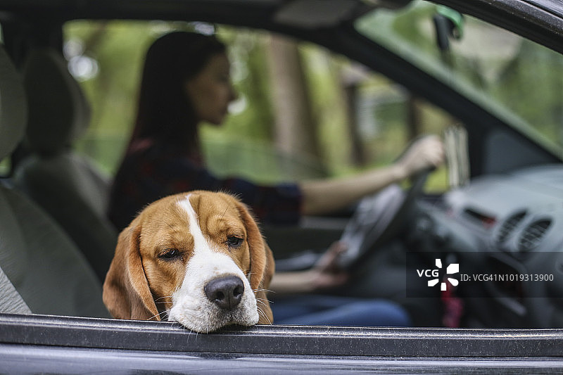 晕动症图片素材