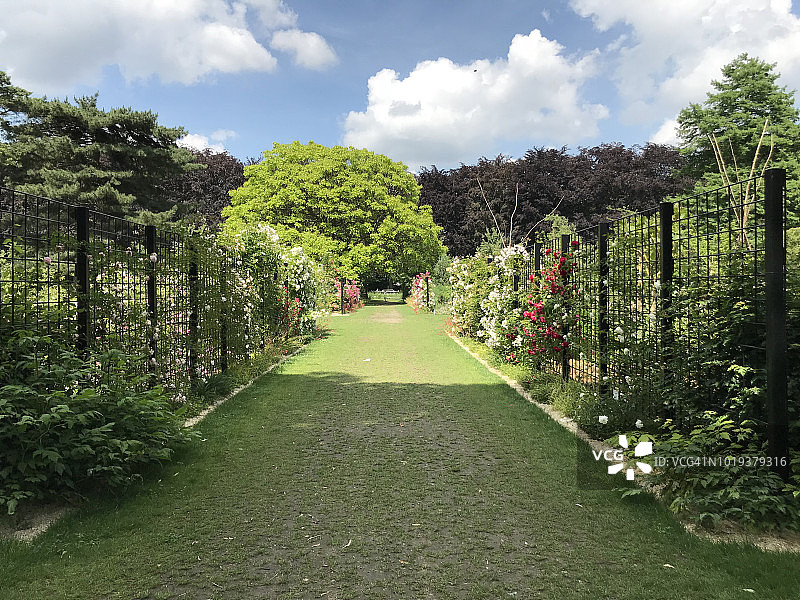 两个金属栅栏之间的草皮小巷图片素材