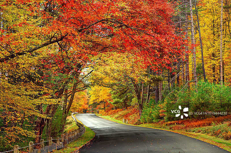 马萨诸塞州夸宾水库公园的秋季公路景色图片素材