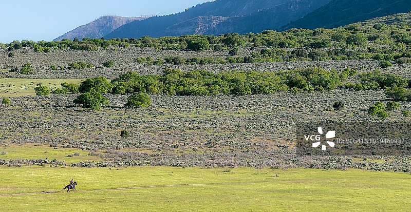 山丘上骑马飞奔的骑手图片素材
