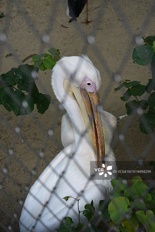 罗马生物公园图片素材