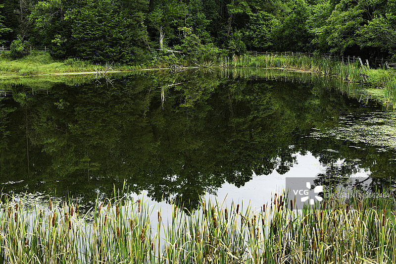 普利茅斯崖的静谧湖泊图片素材