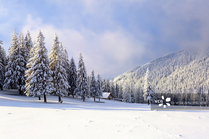 壮丽全景：白雪覆盖的山脉树木和蓝天草地冬季风光图片素材