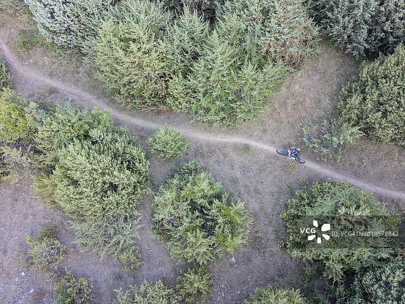 女人在森林小径上骑自行车图片素材