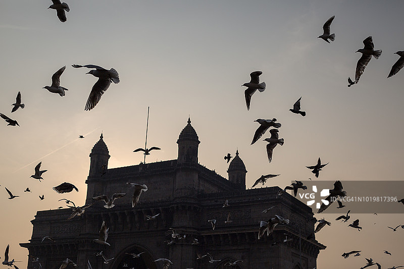 鸟群飞越印度孟买的印度门图片素材