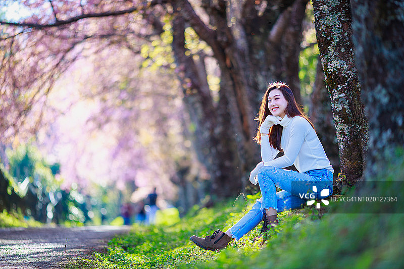 樱花树下的泰国游客图片素材