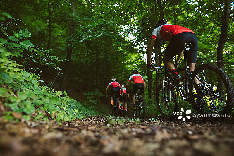 一群男人在野外骑山地自行车图片素材
