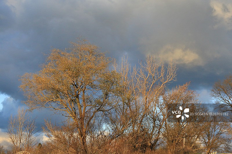 多彩的秋季图片素材
