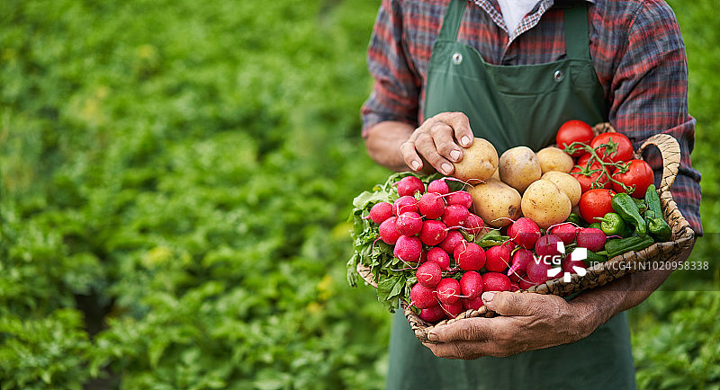 农民拿着一篮子蔬菜图片素材