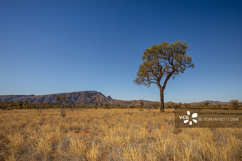 澳大利亚北部地区西麦克唐奈国家公园图片素材
