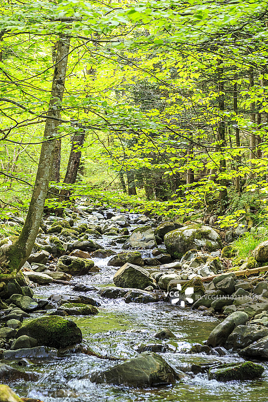 米特拉赫山谷的溪流图片素材