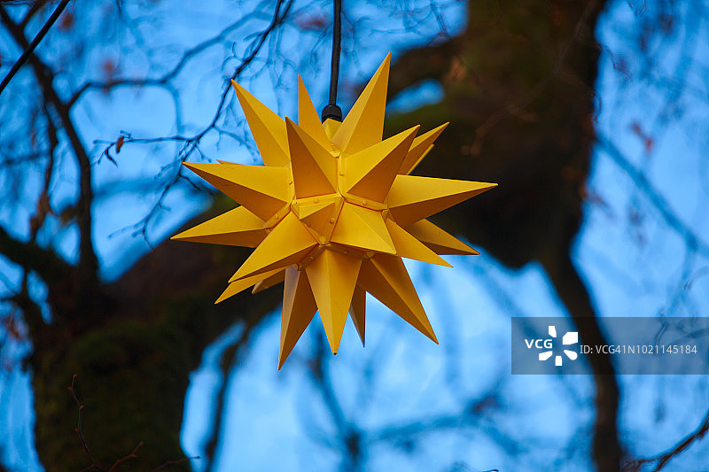 以树枝为背景的摩拉维亚星图片素材