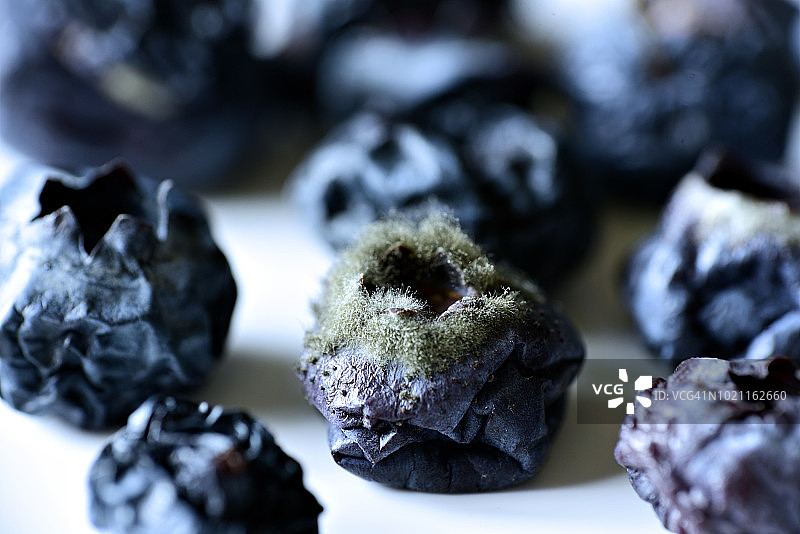 发霉的蓝莓图片素材