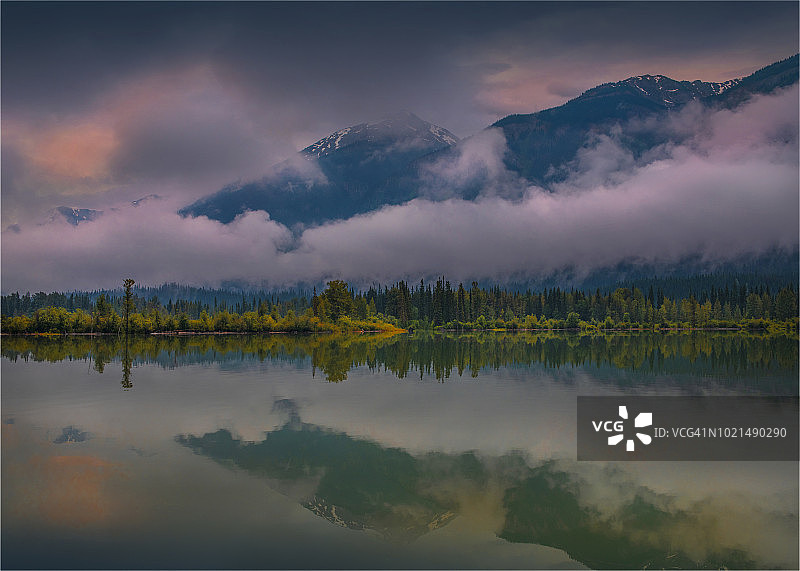 不列颠哥伦比亚省红隘口附近的驼鹿湖泊倒影图片素材