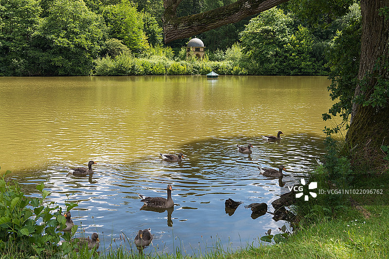 米德赫斯特池塘图片素材