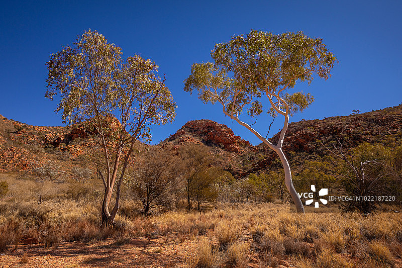 澳大利亚北领地麦克唐奈山脉国家公园的拉拉平塔和纳马吉拉路图片素材