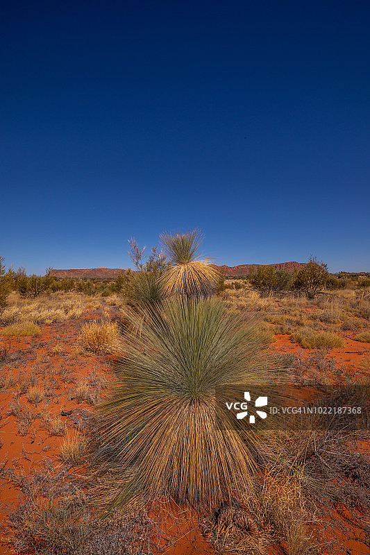 澳大利亚北领地麦克唐奈山脉国家公园的拉拉平塔和纳马吉拉路图片素材