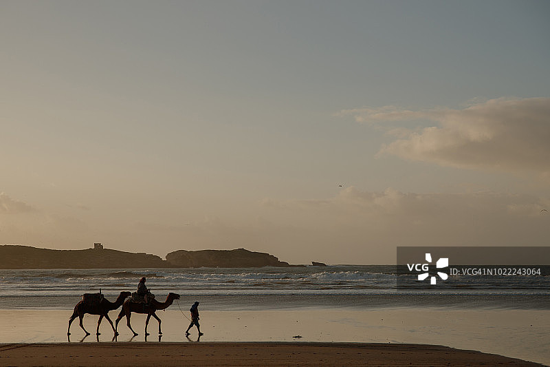 日落时分海滩上骑骆驼的人影图片素材
