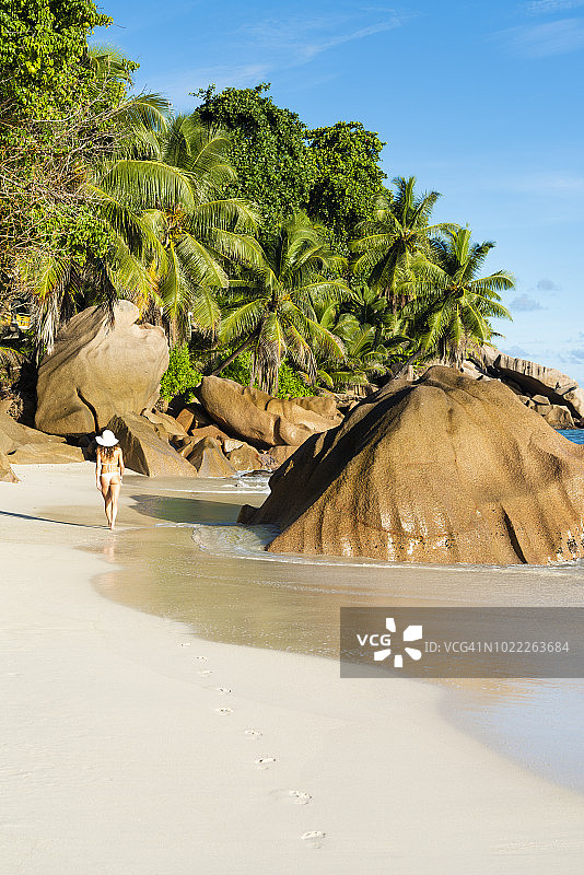 日出时分，漫步在热带海滩上的游客图片素材