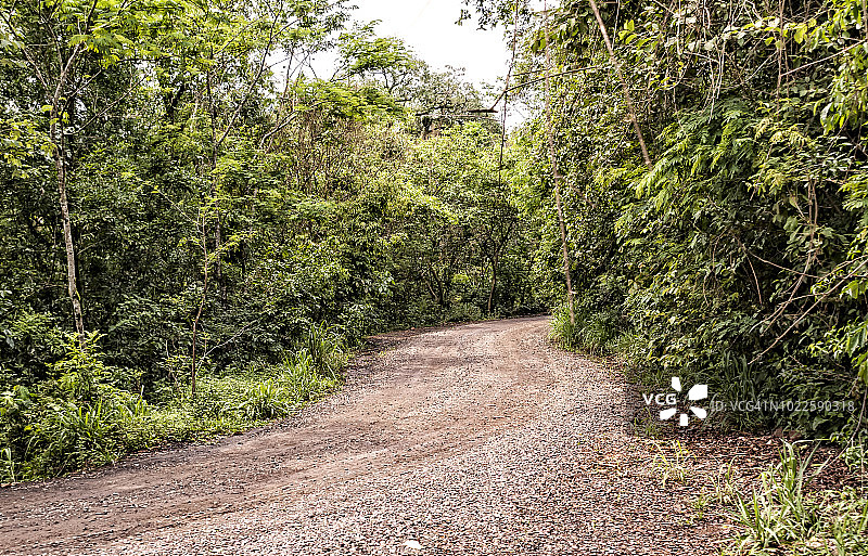 伊瓜苏国家公园的土路图片素材