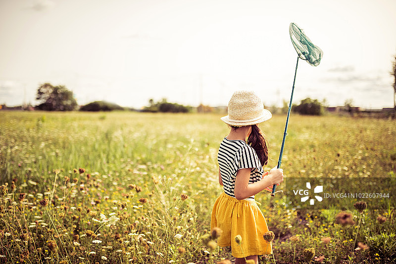 追逐蝴蝶的最佳地点：鲜花盛开的田野图片素材