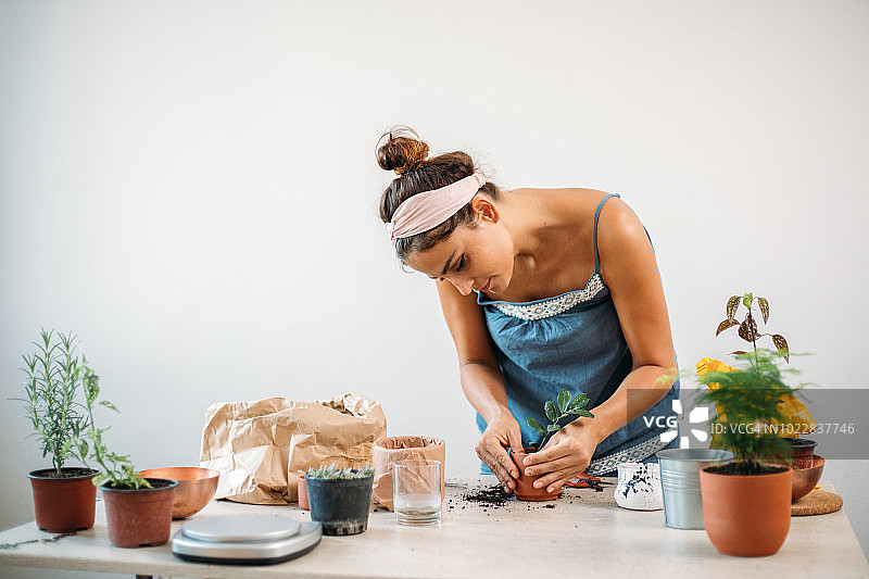 女人种花图片素材