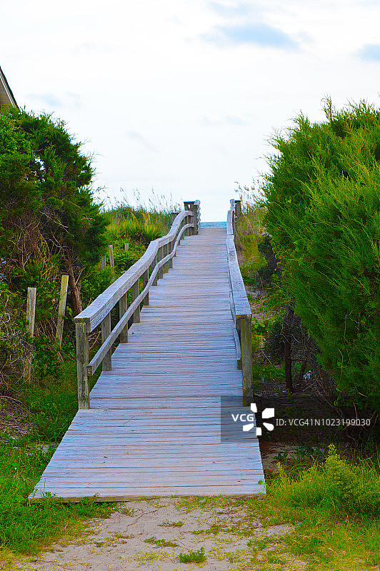 沙滩沙丘上的木制走道图片素材