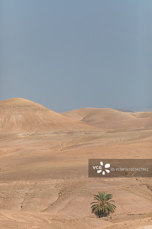 沙丘和棕榈树的景色：摩洛哥马拉喀什附近的摩洛哥沙漠图片素材
