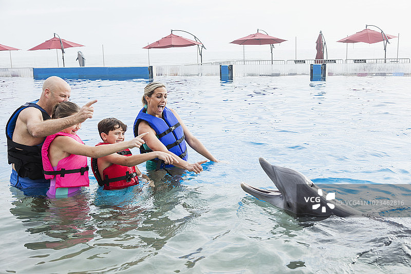一家人在海洋公园与海豚互动图片素材