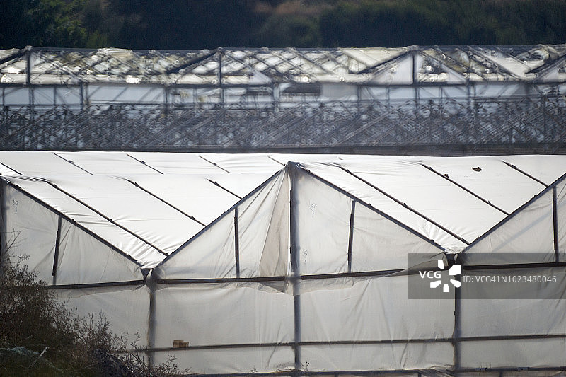欧洲希腊：用人造薄板连接到木框架上的自制塑料温室图片素材