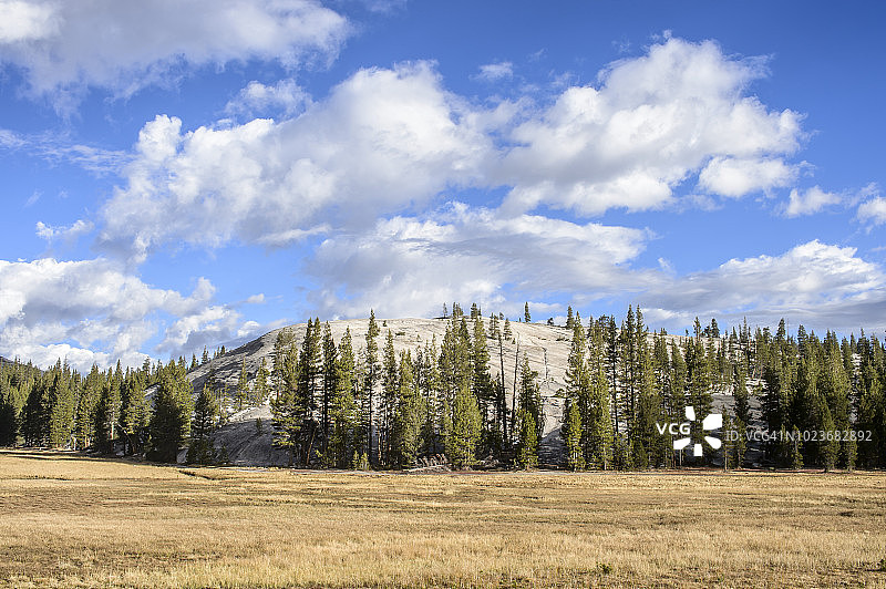 优胜美地国家公园的图奥勒米草甸图片素材