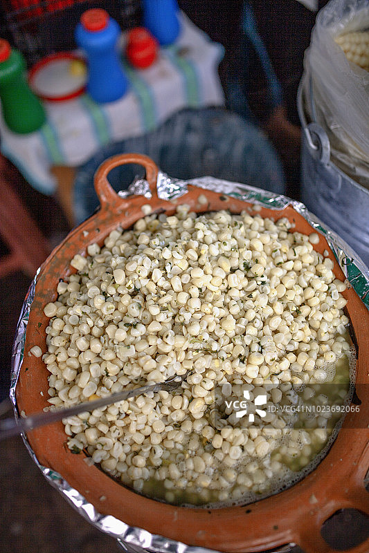 蚂蚁卵图片素材