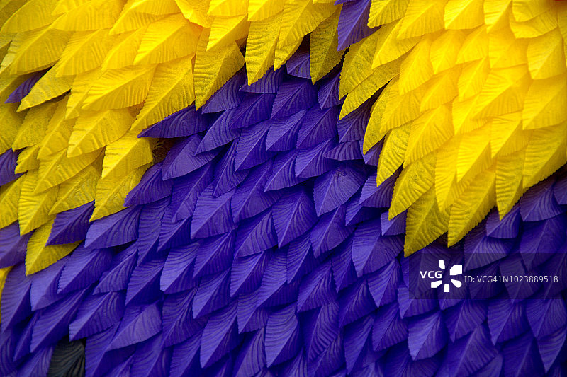 紫色纸质羽毛图片素材