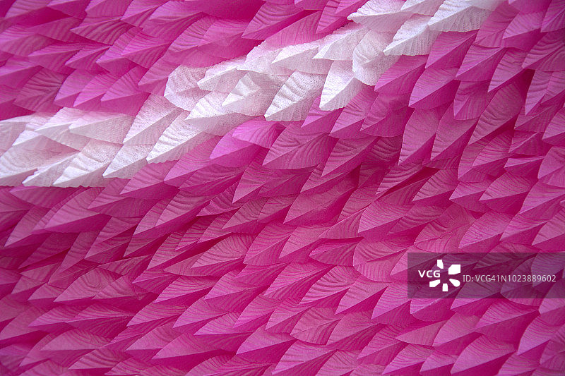 紫色纸质羽毛图片素材