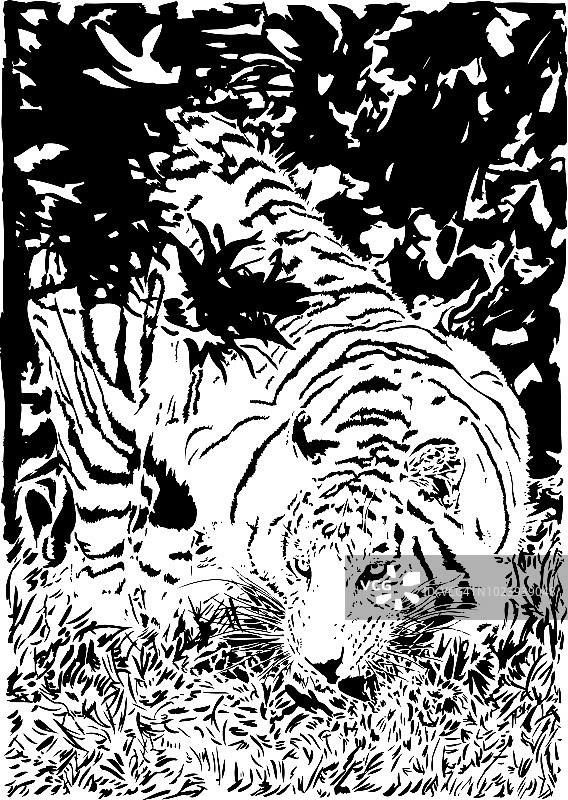 黑色线条草丛中潜行的老虎图片素材