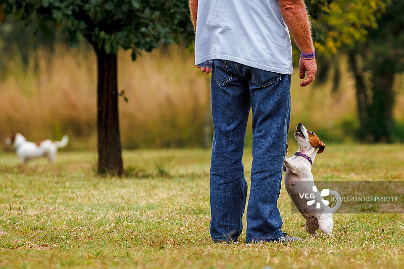 请接我图片素材