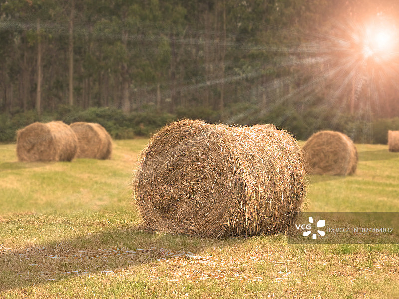 稻草包图片素材