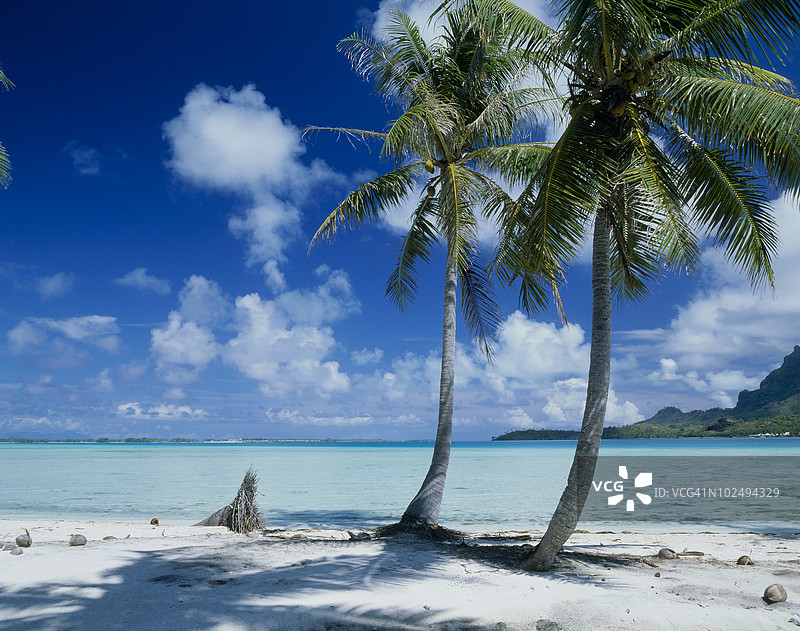 塔希提岛博拉博拉岛的海滩图片素材