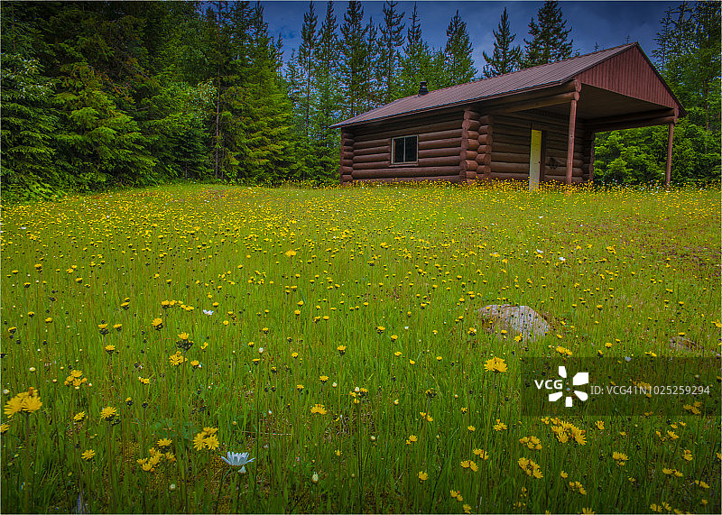 加拿大艾伯塔省清水河畔林间小屋图片素材