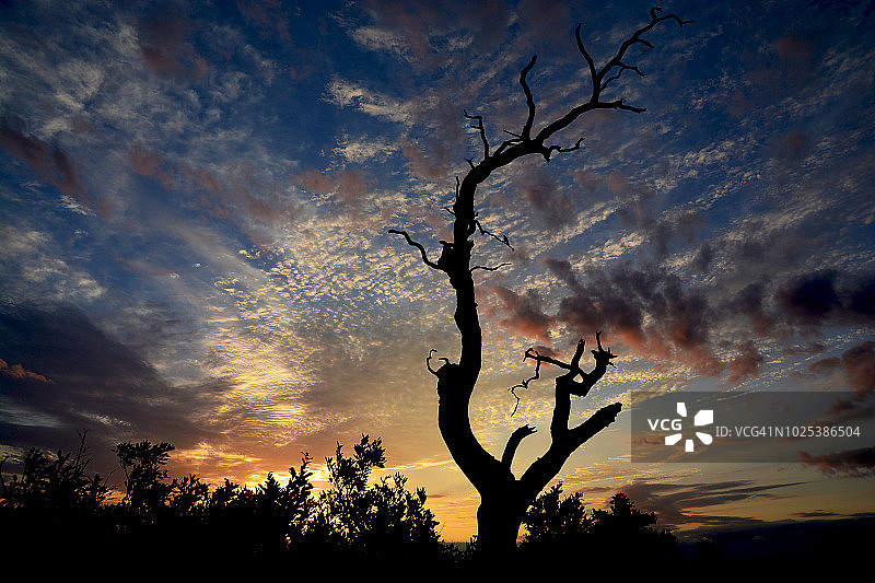 南非克鲁格国家公园的日落图片素材