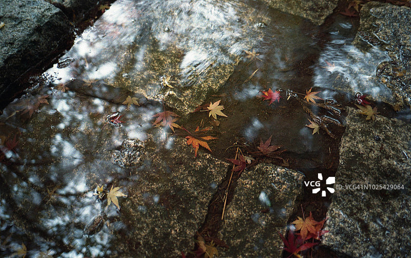 日本箱根图片素材