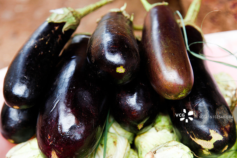 茄子蔬菜图片素材