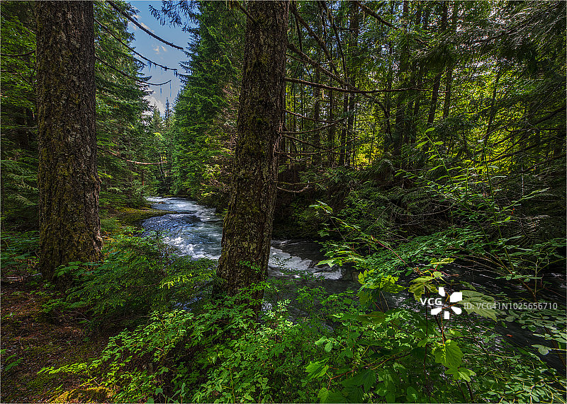 加拿大不列颠哥伦比亚省的白兰地酒瀑布图片素材