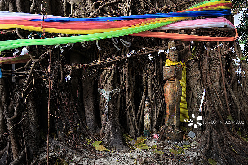 泰国皮皮岛上的神树与木制雕像图片素材