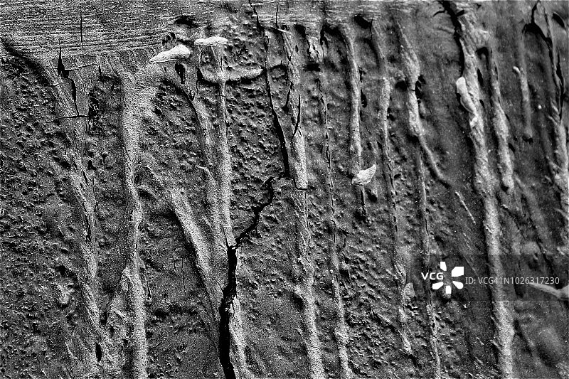 干燥的油漆纹理图片素材