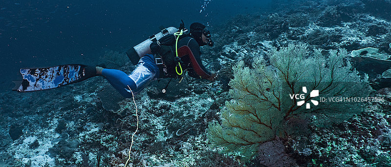 在卡加延西洛图巴塔哈礁的潜水员，菲律宾图片素材