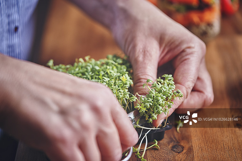 切割发芽的豆瓣菜图片素材
