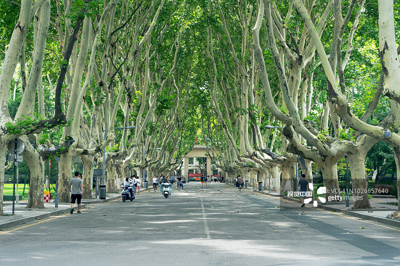 南京东南大学主干道图片素材