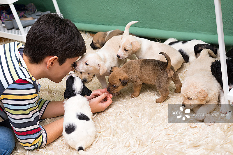快乐的女人和小狗们玩耍图片素材